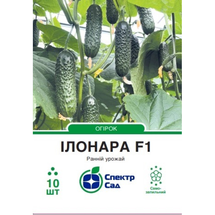Огірок Ілонара F1 10 насінин СПЕКТР